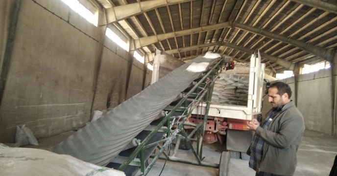 تامین و توزیع 617 تن کود کشاورزی فسفات بر اساس برش کودی کشت بهاره در شهرستان سلطانیه 