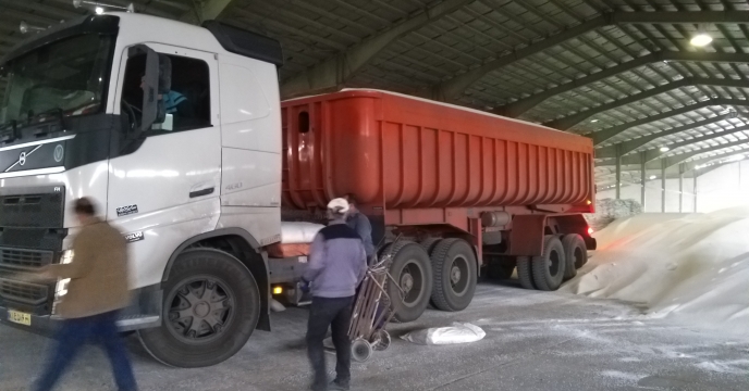 شرکت خدمات حمایتی کشاورزی با تأمین ۲۶۵۰۰ تن کود اوره از پتروشیمی پردیس برای استان همدان
