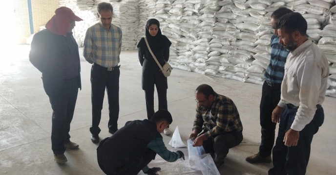 نمونه برداری از کود سولفات پتاسیم گرانوله در انبار شرکت خدمات حمایتی کشاورزی خراسان جنوبی