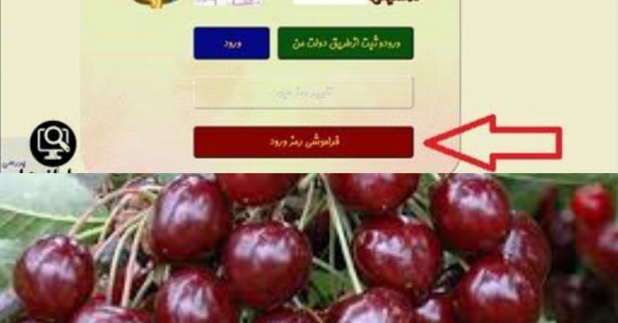 صدور حواله الکترونیکی برای توزیع مقدار ۱۷ تن کود اوره  برای باغات گیلاس استان گلستان