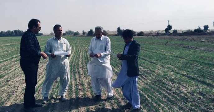 برگزاری جلسه مسئول بذر شرکت خدمات حمایتی کشاورزی استان سیستان وبلوچستان با مدیریت جهاد کشاورزی شهرستان بمپور 