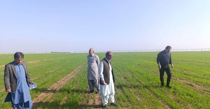 بازدید از مزارع مناطق سانگان و پشت رودخانه روز سه شنبه 9 دی ماه سال جاری انجام شد