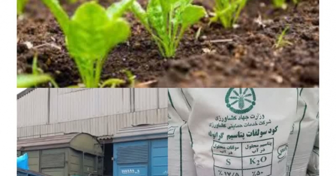  مصرف ببیش از 201 تن انواع کود کشاورزی یارانه ای برای مزارع چغندر قند گلستان در آبان ماه سال جاری