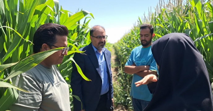بازدید میدانی مدیر شرکت خدمات حمایتی کشاورزی کرمان از مزارع بردسیر برای تأمین کود