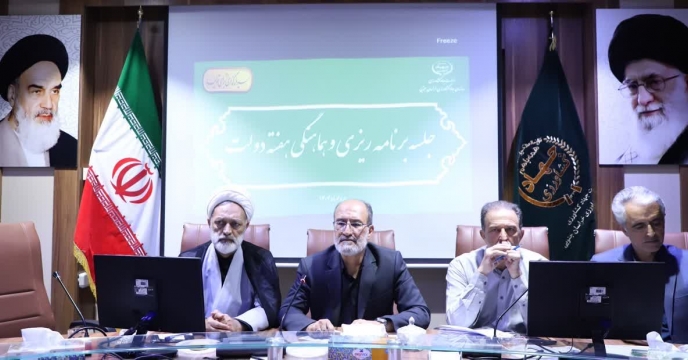 نشست برنامه‌ریزی و هماهنگی پروژه‌های هفته دولت در خراسان جنوبی