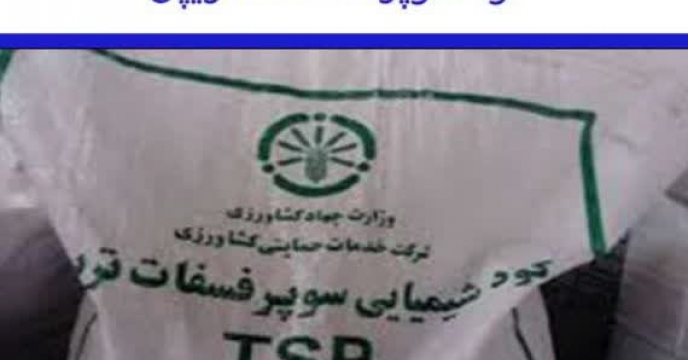 تامین و توزیع ‌مفدار301 تن کود سوپر فسفات تریپل برای کشاورزان شهرستان کردکوی  در هشت ماهه  سال جاری