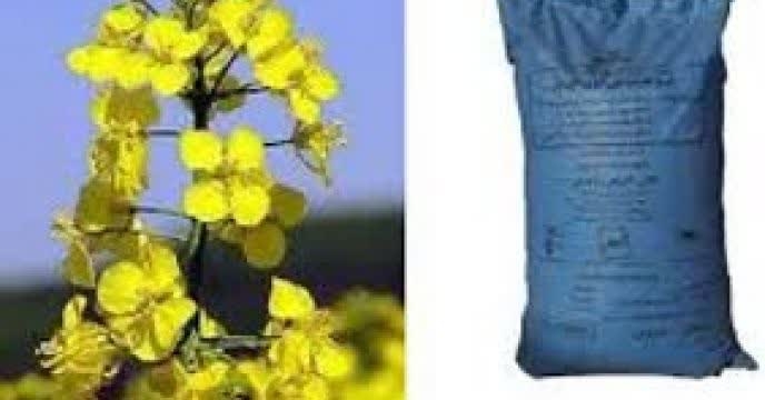 توزیع مقدار710 تن انواع کود کشاورزی یارانه ای برای محصول کشاورزان کلزا کار شهرستان گنبد درهفت ماهه سال جاری