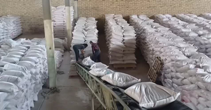 ارسال بذر گندم با رقم میهن گواهی شده برای کارگزاری آقای علی فاتح واقع در شهرستان شاهرود