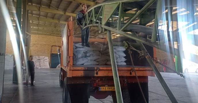 توزیع مقدار 100 تن کود اوره ارسالی از پتروشیمی پردیس در شهرستان دامغان در آبان ماه سال جاری انجام شد