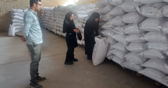 بازدید کارشناسان حفظ نباتات از پارت های بوجاری شده گندم در انبار سازمانی شهرستان شاهرود
