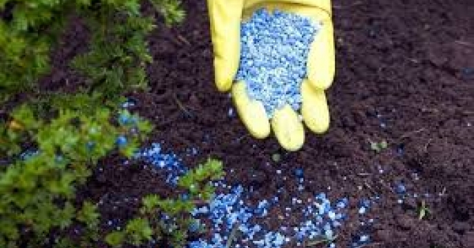 ارسال تائید نتیجه آزمایش کنترل کیفی کود سولفات پتاسیم گرانول تولید داخل ارسالی از شرکت خدمات حمایتی کشاورزی استانهای شعب توسط مرکز تحقیقات کاربردی نهاده های کشاورزی