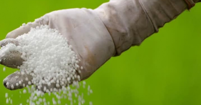 تامین و توزیع 1250  تن انواع کودهای کشاورزی  به شهرستان مخلات و دلیجان در هشت ماهه سال جاری