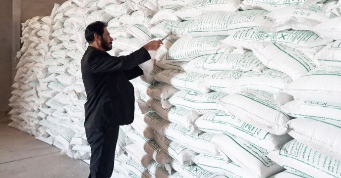  تضمین کیفیت پیش از توزیع؛ نمونه‌برداری از کود پتاس تولید داخل در انبار مرکزی کرمان