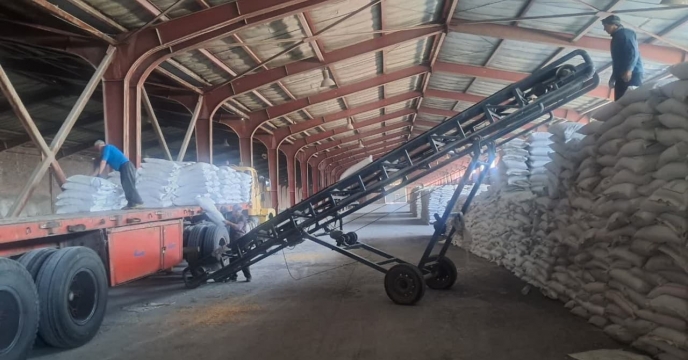 توزیع 525 تن انواع کود کشاورزی در بین کشاورزان شهرستان هشترود