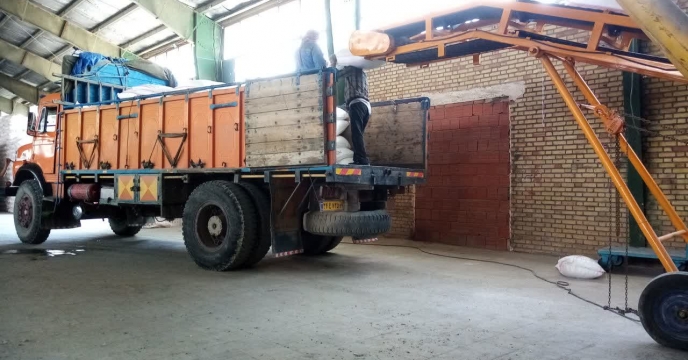 تأمین و توزیع 400تن کود کشاورزی سوپرفسفات برای کار گزاری های شهرستان شیروان درهفت ماه نخست سال جاری