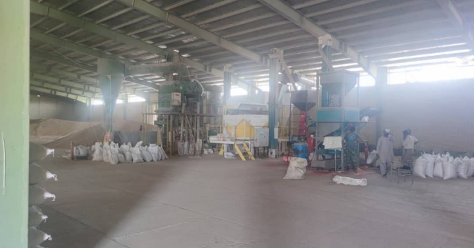 فروش و توزیع بذر گندم و جو  در استان ها توسط شرکت خدمات حمایتی انجام شد 