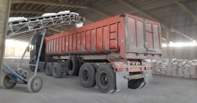 تامین وتوزیع 1220 تن کود اوره در شهرستان صحنه