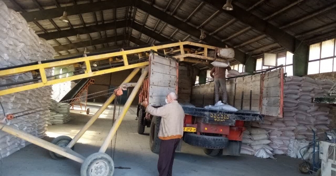 ارسال 20 تن انواع کود کشاورزی به کارگزاری های شهرستان بجنورد