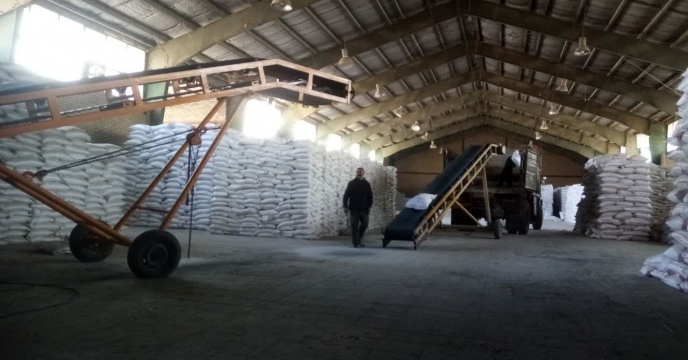  ارسال 10تن کود شیمیایی کلرور پتاس به کارگزاری های شهرستان مانه 