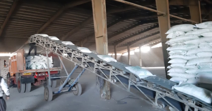 میزان 155 تن کود کشاورزی سوپر فسفات ساده در استان کرمانشاه تامین و توزیع شد