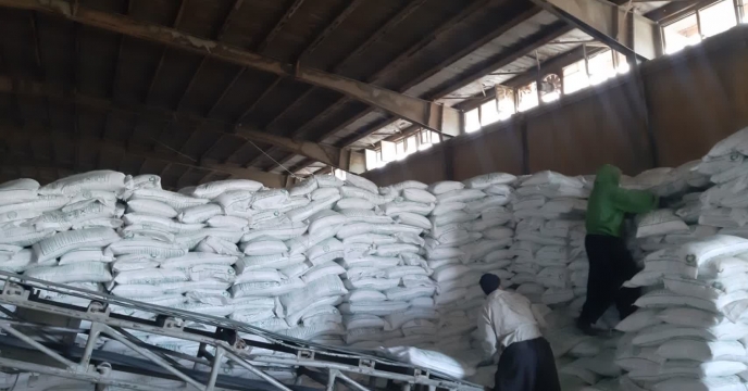 تامین وارسال309 تن از انواع کودهای کشاورزی به شهرستان قصرشیرین