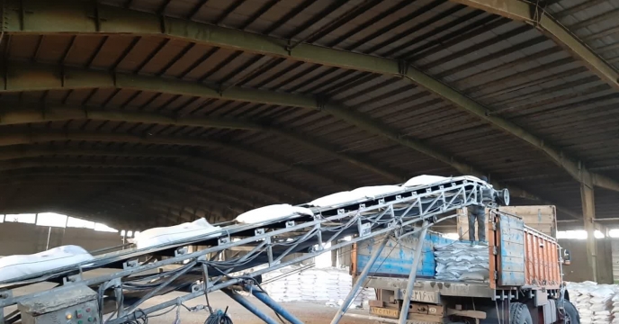 تامین وتوزیع 460 تن کود کشاورزی اوره در شهرستان هرسین