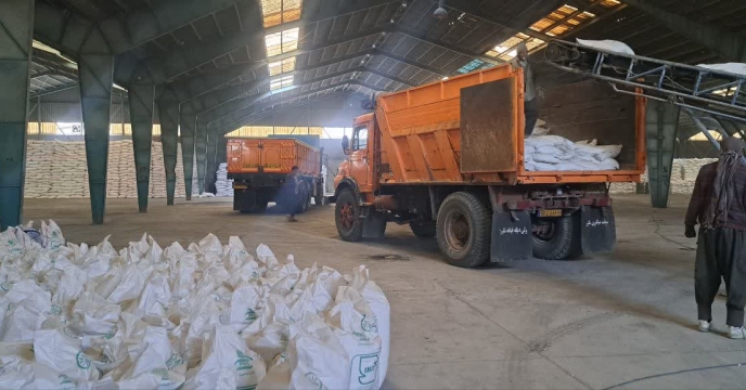 توزیع 100 تن کود سوپرفسفات تریپل گرانوله وارداتی به انبار کلیه کارگزاران شهرستان اصفهان درهشت ماه ابتدایی  سال جاری 