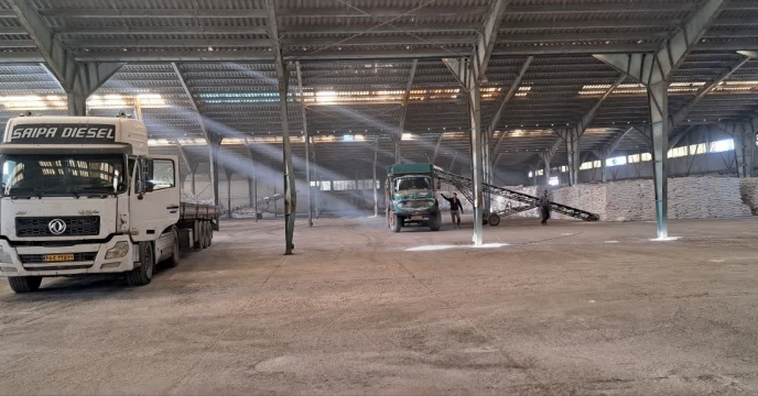 توزیع 55 تن کودسوپر فسفات تریپل کیمیاداران کویر به کارگزاریهای شهرستان سمیرم در هشت  ماه سال 1404 در استان اصفهان  انجام شد.