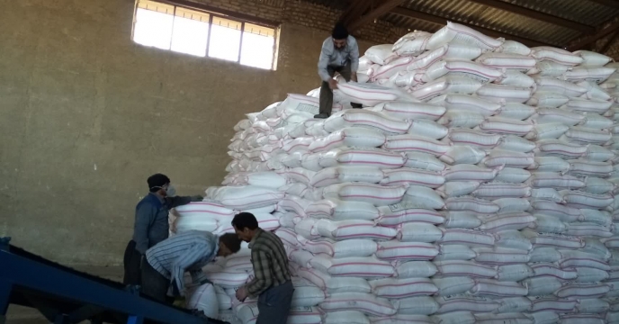 تأمین و تدارک ۱۴۲۷۵ تن انواع کود شیمیایی در سه ماهه ابتدای سال در استان 