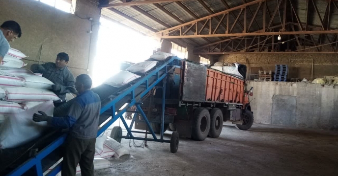 حمل 1900 تن کود شیمیایی به  کارگزاری های شهرستان سملقان درمهر ماه سال جاری