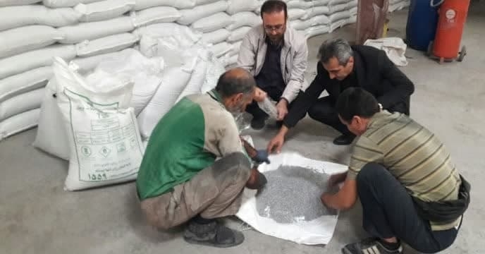 کود سوپر فسفات ساده گرانوله مورد نیاز برای کشاورزان گلستانی از تولیدکنندگان داخلی کشور تامین و توزیع گردید