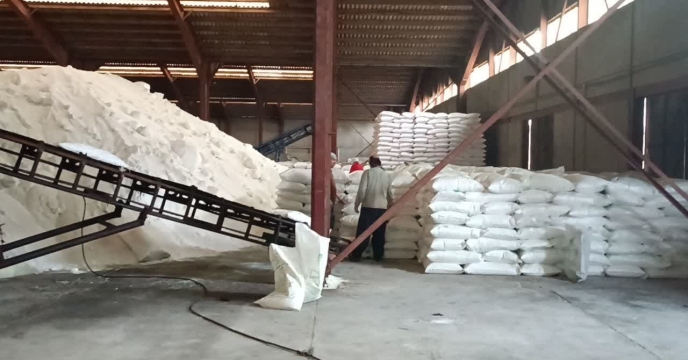 توزیع مقدار181 تن انواع کود کشاورزی یارانه ای  برای محصول کشاورزان گندم کار شهرستان بندرگز درآیان ماهه سال جاری