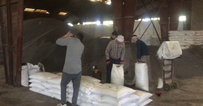 توزیع مقدار 297 تن انواع کود کشاورزی یارانه ای برای محصول کشاورزان کلزا کار شهرستان کردکوی در هشت ماهه سال