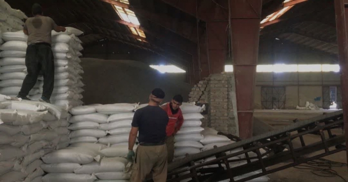  افزایش بهره وری مزارع کشاورزی شهرستان بندرترکمن با توزیع بیش از 666 تن انواع کود کشاورزی یارانه ای در دی ماهه سال جاری