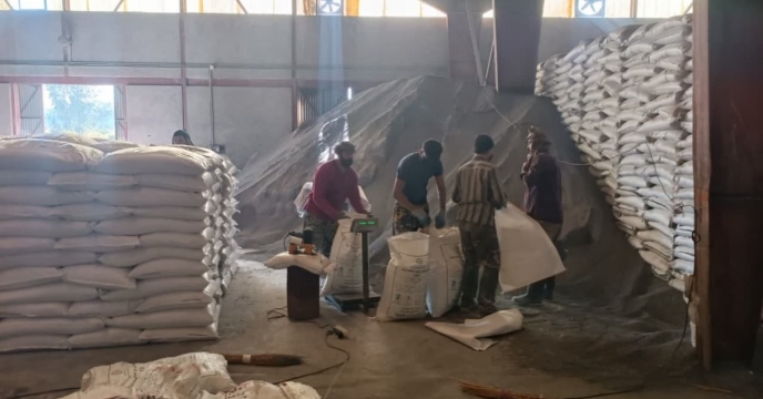 توزیع مقدار253 تن انواع کود کشاورزی یارانه ای برای محصول کشاورزان کلزا کار شهرستان گالیکش در هشت ماهه سال جاری