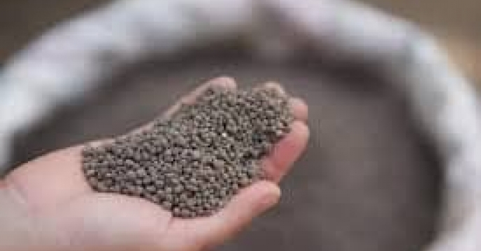 مصرف579 تن کود سوپرفسفات تریپل برای مزارع و باغات شهرستان گرگان دریازده ماهه سال جاری