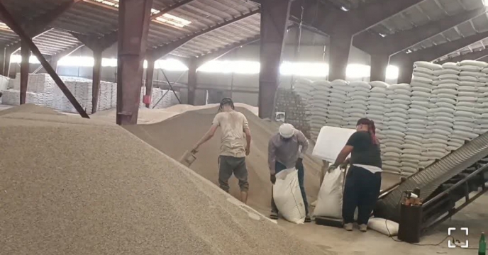 حمل و بارگیری مقدار336 تن کود سوپر فسفات تریپل  برای توزیع به کشاورزان شهرستان رامیان در هشت ماهه سال جاری