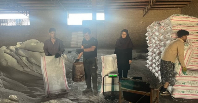 نظارت بر روند کیسه گیری کود اوره فله شهرستان علی آبادکتول 