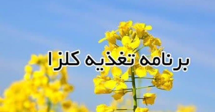 توزیع مقدار48 تن انواع کود کشاورزی یارانه ای از طریق سامانه پایش مواد کودی برای محصول کشاورزان کلزا کاران شهرستان مراوه تپه در اردیبهشت ماه سال جاری 