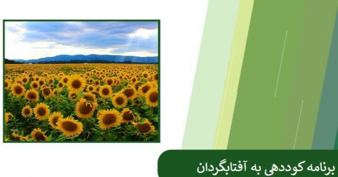 توزیع کود های پرمصرف درسطح مصوب الگوی کشت انقباضی ۲۲۰۰ هکتار  برای کشت آفتابکردان
