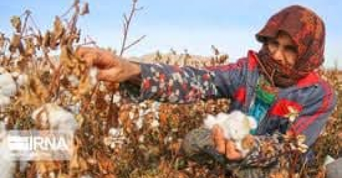 توزیع  مقدار تقریبی ۷۴ تن انواع کود کشاورزی یارانه ای برای کشاورزان پنبه کار کار شهرستان علی آباد کتول در خرداد ماه سال۱۴۰۴