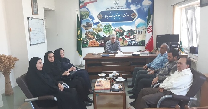 دیدار مدیر شرکت خدمات حمایتی کشاورزی استان با معاونت بهبود تولیدات گیاهی سازمان جهاد کشاورزی استان زنجان 