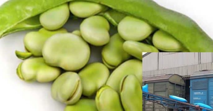 توزیع مقدار34 تن کود یارانه ای برای  مزارع با قلای تازه درهفت ماهه سال جاری