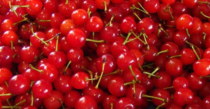 توزیع۱۰ تن کود یارانه ای برای  باغ آلیالو درهفت ماهه سال۱۴۰۴