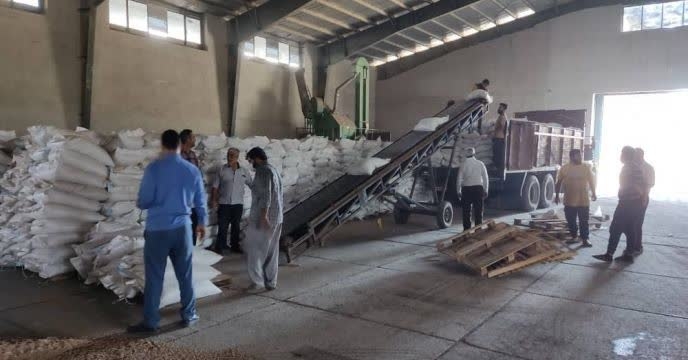 ارسال بیش از 250 تن بذر بوجاری شده گندم به کارگزاری های استان گلستان