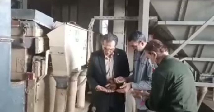 بازدید مدیر شرکت خدمات حمایتی  کشاورزی استان گلستان از روند بوجاری بذر گندم
