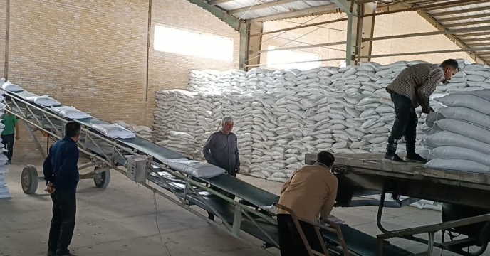 رشد توزیع کودهای کشاورزی در مرکز استان یزد