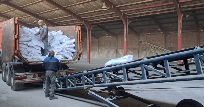 تامین 4 هزار و 725 تن از کود اوره مورد نیاز کشاورزان آذربایجان شرقی از مبدا پتروشیمی شیراز