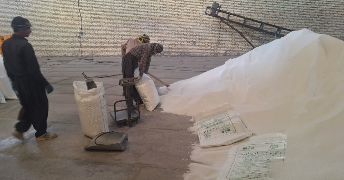 عملیات کیسه گیری کود اوره در انبار کارگزاری در شهرستان دیواندره