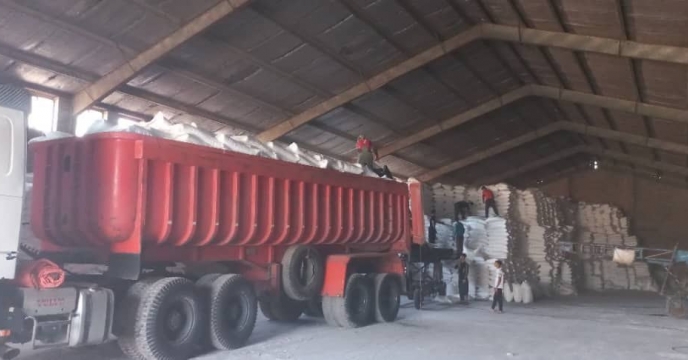 حمل و توزیع 1175 تن کود کشاورزی پتاس در بین کشاورزان شهرستان کرخه